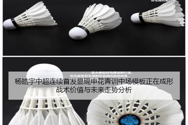 杨皓宇中超连续首发显现申花青训中场模板正在成形 战术价值与未来走势分析